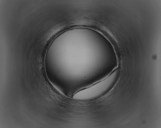 X0000090971213200708241307