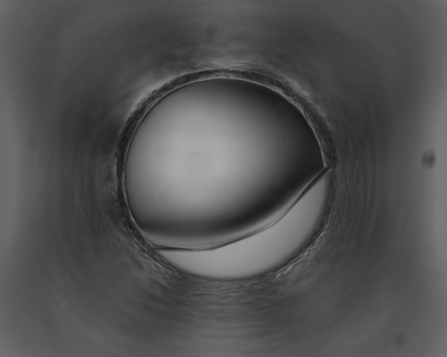 X0000090971214200708241308