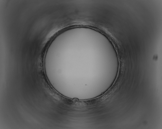 X0000090971215200708241308