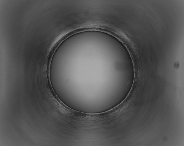 X0000090971216200708241308