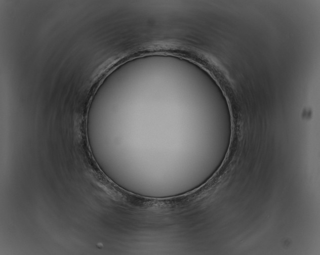 X0000090971217200708241308