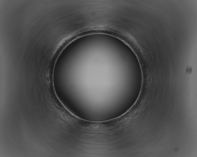 X0000090971218200708241308