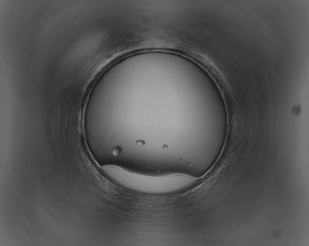 X0000090971220200708241308