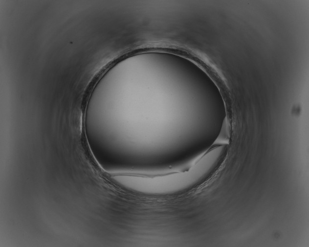 X0000090971221200708241308