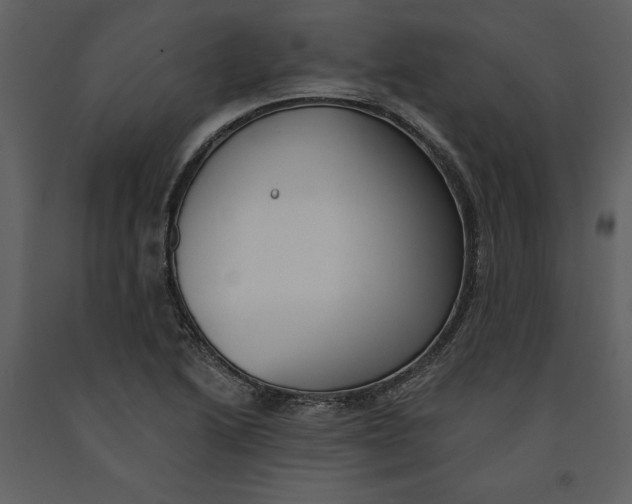 X0000090971222200708241308