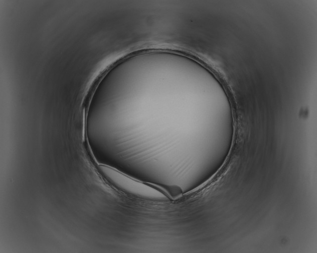 X0000090971223200708241308