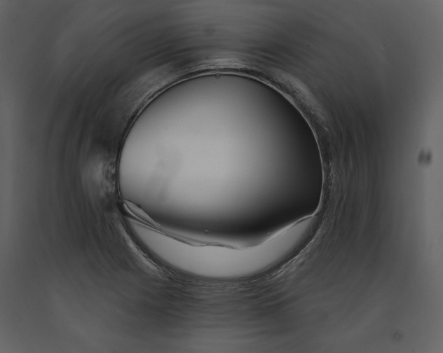 X0000090971225200708241308