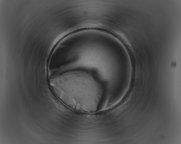 X0000090971226200708241308