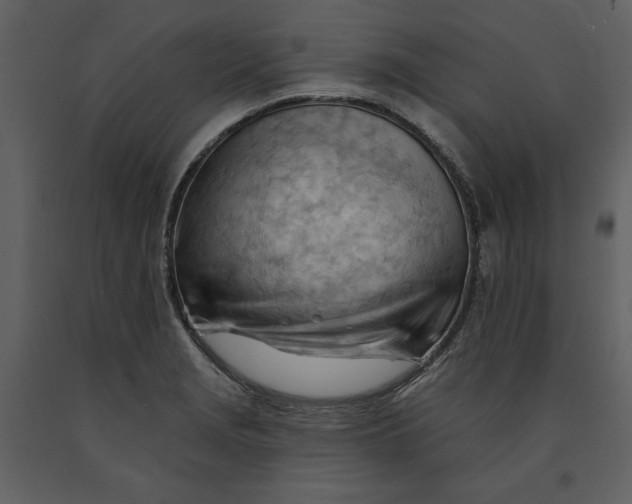 X0000090971229200708241308