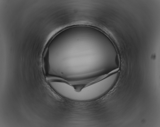 X0000090971230200708241308