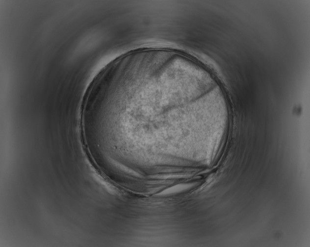 X0000090971231200708241308