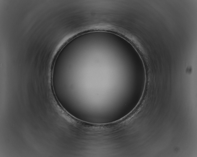 X0000090971232200708241308