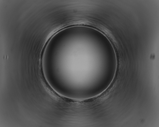 X0000090971234200708241308