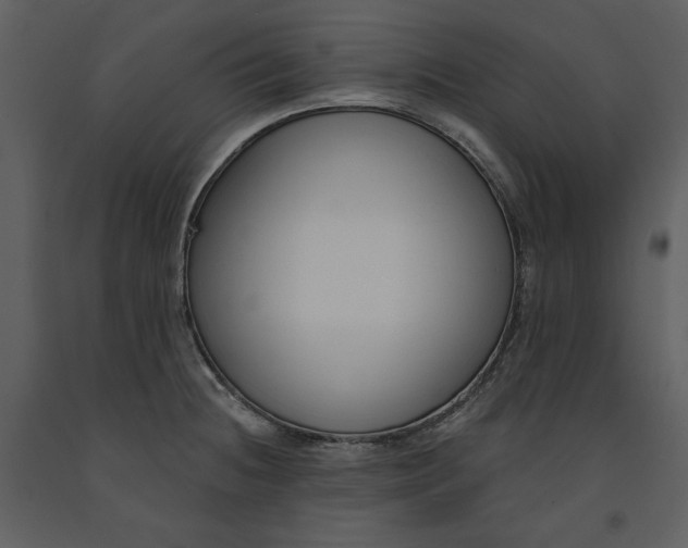 X0000090971236200708241308