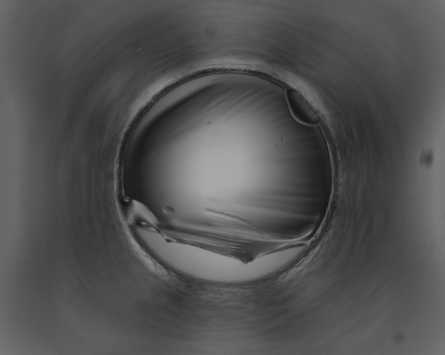 X0000090971237200708241308