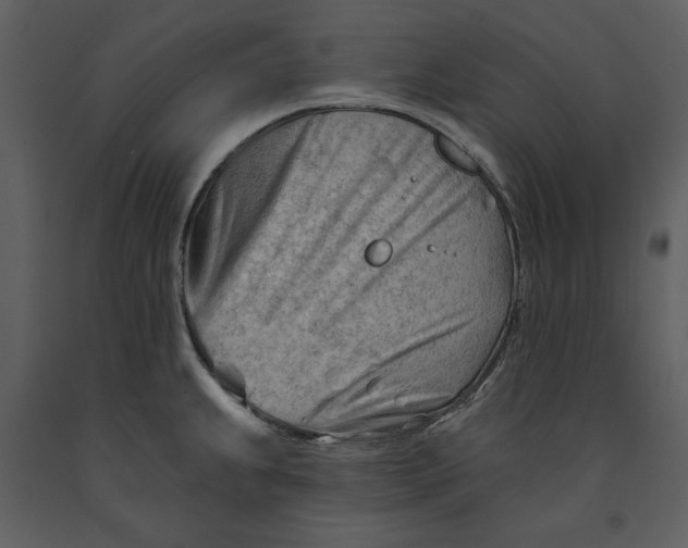 X0000090971239200708241308