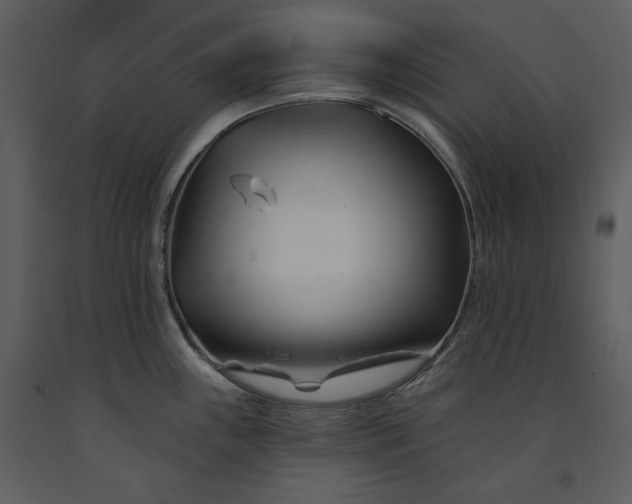 X0000090971243200708241308