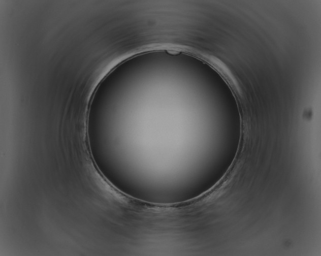 X0000090971244200708241308