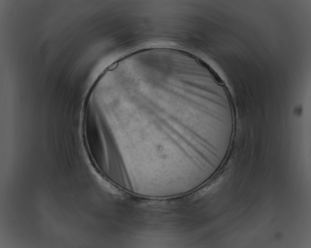 X0000090971245200708241308