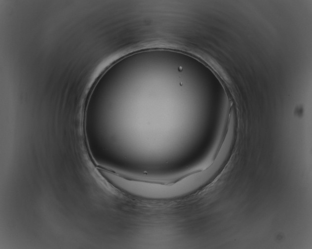 X0000090971246200708241308