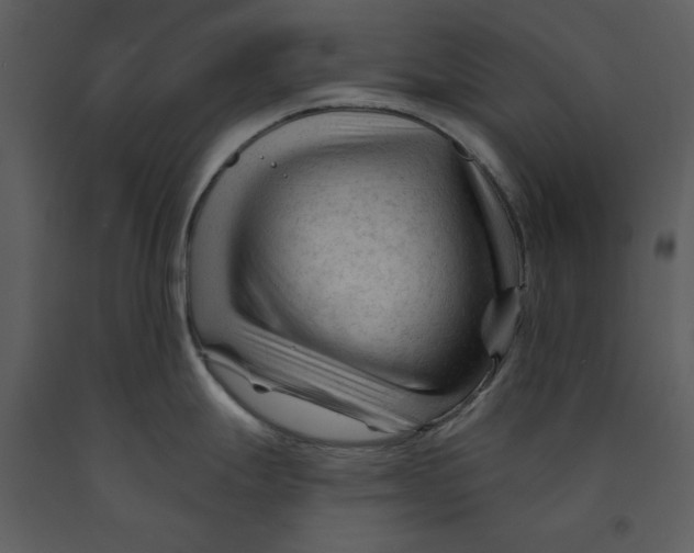 X0000090971247200708241308