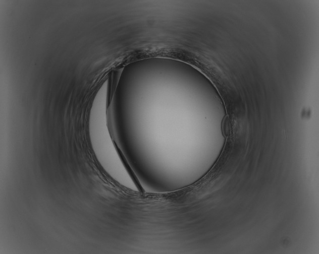 X0000090971250200708241307