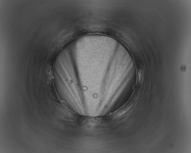 X0000090971251200708241307