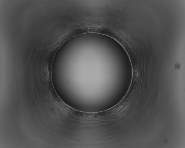 X0000090971252200708241307