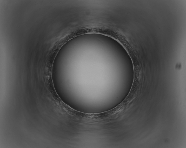 X0000090971253200708241307