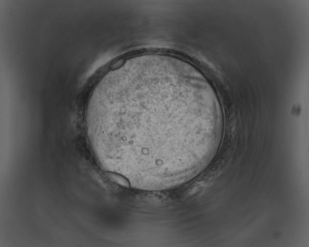 X0000090971255200708241307