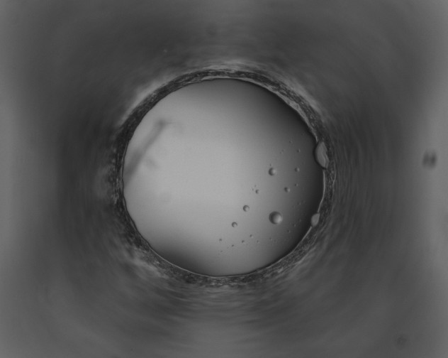 X0000090971256200708241307