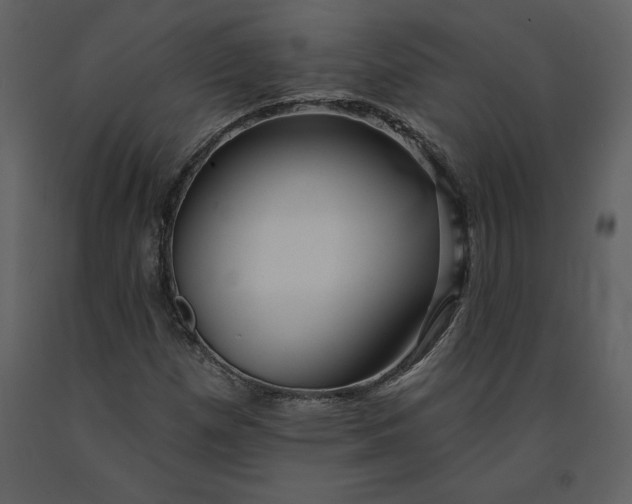 X0000090971257200708241307