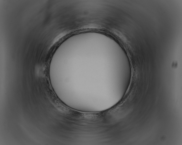 X0000090971258200708241307