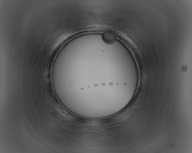 X0000090971259200708241307