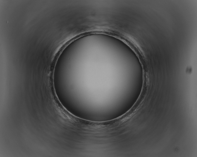 X0000090971260200708241307