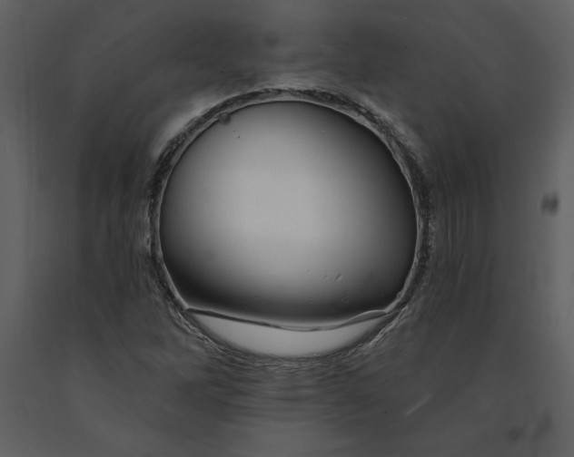 X0000090971262200708241307