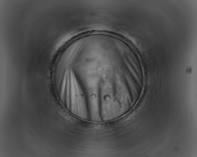 X0000090971263200708241307