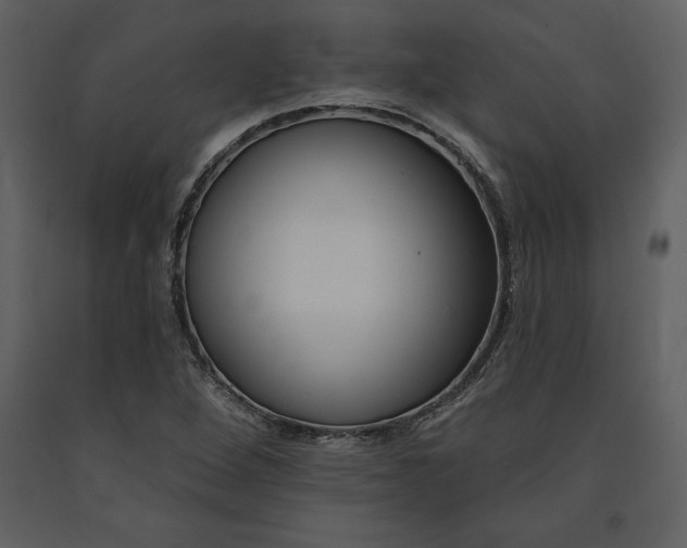 X0000090971264200708241307