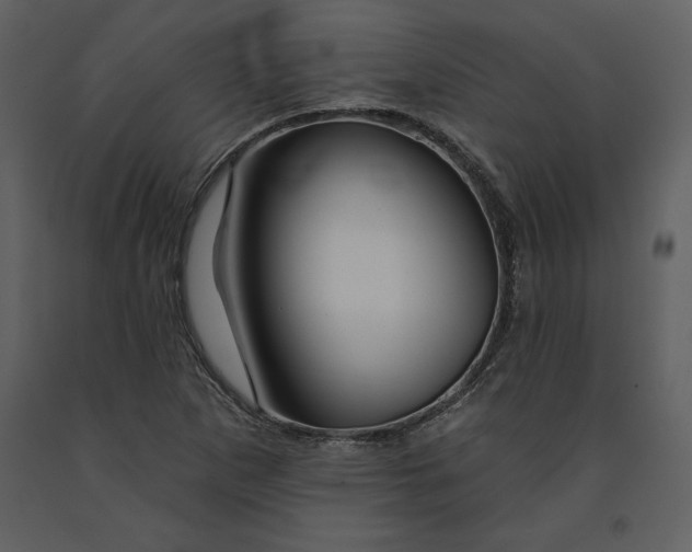 X0000090971265200708241307