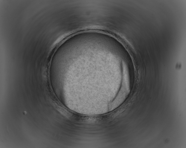 X0000090971266200708241307