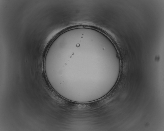 X0000090971271200708241307