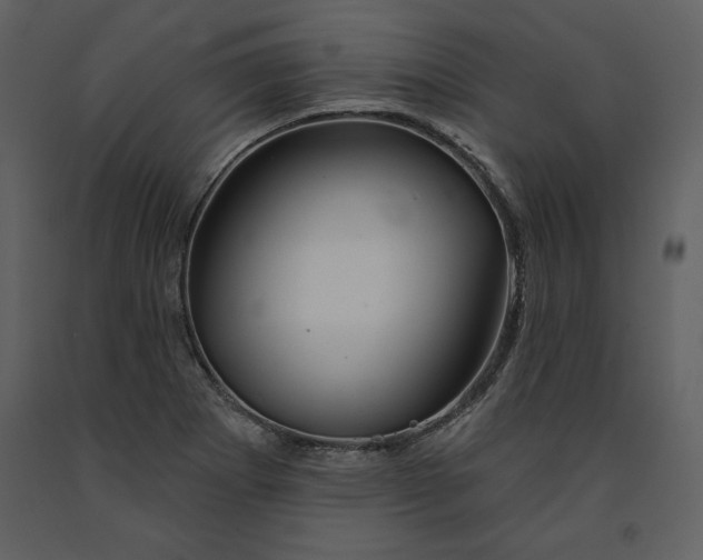 X0000090971273200708241307