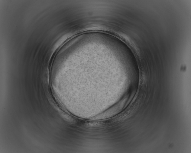 X0000090971274200708241307