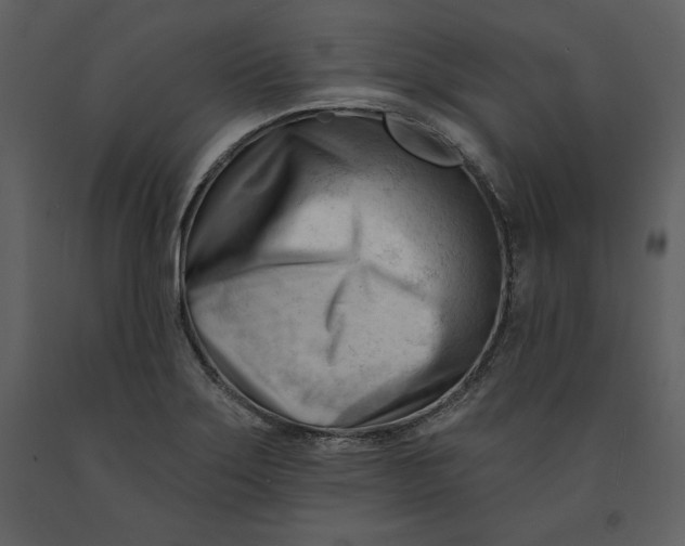 X0000090971275200708241307