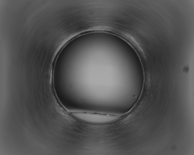 X0000090971276200708241307