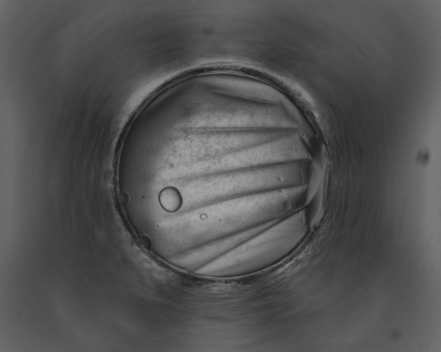 X0000090971279200708241307