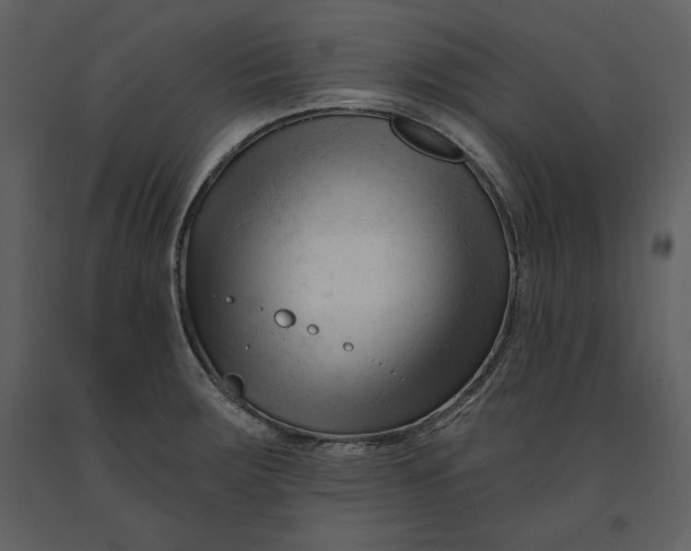 X0000090971283200708241307