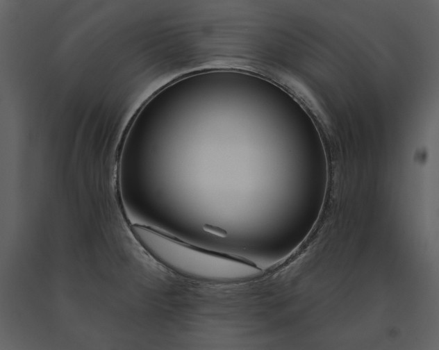 X0000090971284200708241307