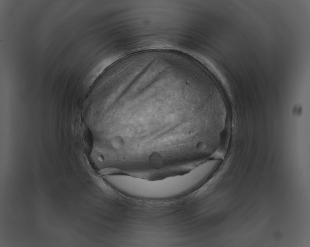 X0000090971289200708241307