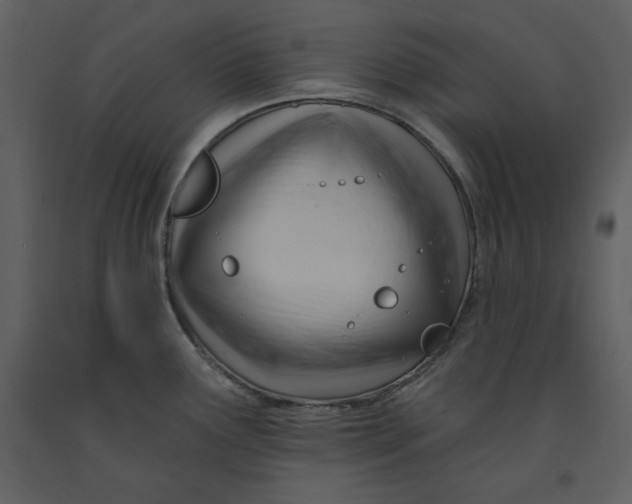 X0000090971291200708241307